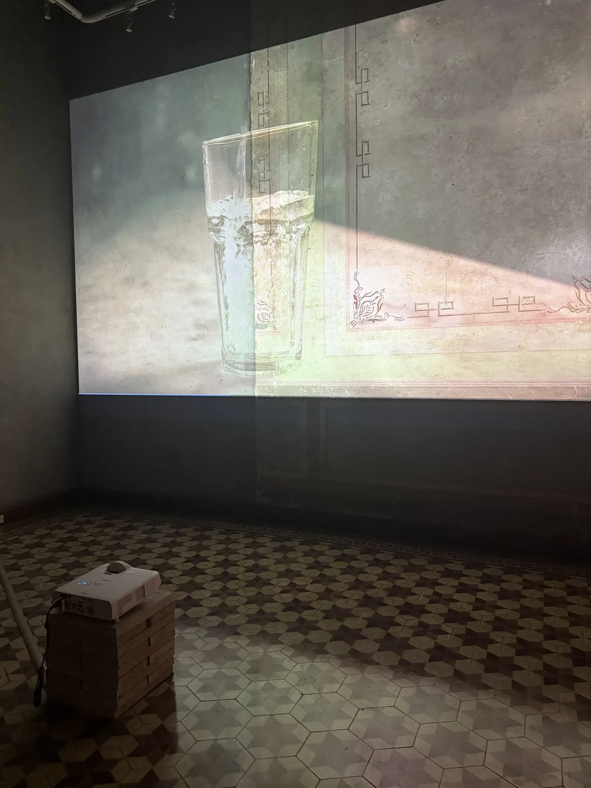 Montaje de la Sala 10 — El placer de vivir: instalación audiovisual con proyección a gran escala, proyector sobre su base y atmósfera oscura del salón